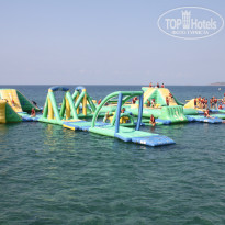 фото из отзыва ID 1647046