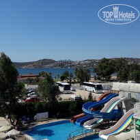 фото из отзыва ID 1647160