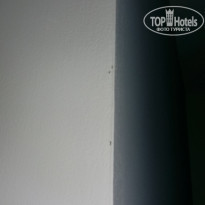 фото из отзыва ID 1647200