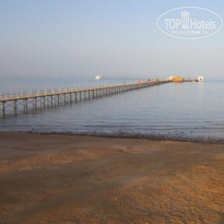 фото из отзыва ID 1646644