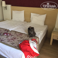 фото из отзыва ID 1647227