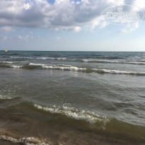 фото из отзыва ID 1647227