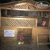 фото из отзыва ID 1647227