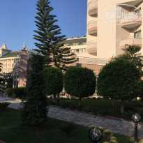 фото из отзыва ID 1647227