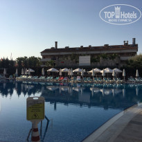 фото из отзыва ID 1647227