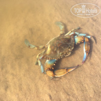 фото из отзыва ID 1647227