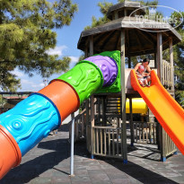 фото из отзыва ID 1647263