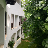 фото из отзыва ID 1647111