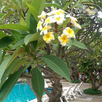 фото из отзыва ID 1646834