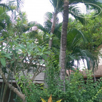 фото из отзыва ID 1646834