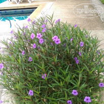 фото из отзыва ID 1646834