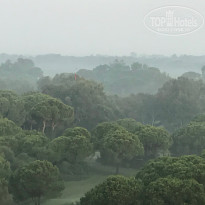 фото из отзыва ID 1647467