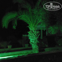 фото из отзыва ID 1647468