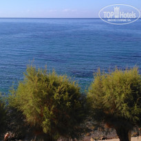 фото из отзыва ID 1647468