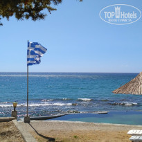 фото из отзыва ID 1647468