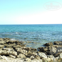 фото из отзыва ID 1647468