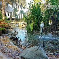 фото из отзыва ID 1647492