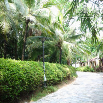 фото из отзыва ID 1647508