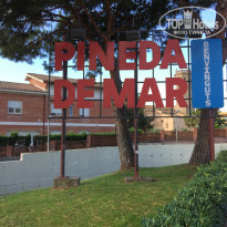 фото из отзыва ID 1647645