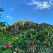 фото из отзыва ID 1647858