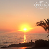 фото из отзыва ID 1647899