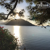 фото из отзыва ID 1647858