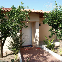 фото из отзыва ID 1647911