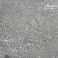 фото из отзыва ID 1647958