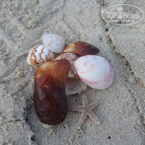 фото из отзыва ID 1647958