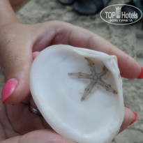 фото из отзыва ID 1647958