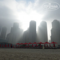 фото из отзыва ID 1647958