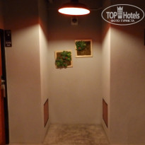 фото из отзыва ID 1647986