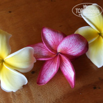 фото из отзыва ID 1647986