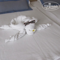 фото из отзыва ID 1648000