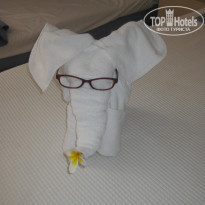 фото из отзыва ID 1648000