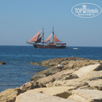 фото из отзыва ID 1648000