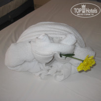 фото из отзыва ID 1648000