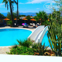 фото из отзыва ID 1648064