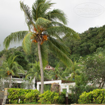 фото из отзыва ID 1648069