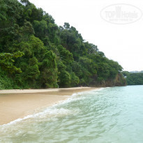 фото из отзыва ID 1648069