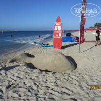 фото из отзыва ID 1648084