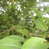 фото из отзыва ID 1648084