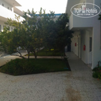 фото из отзыва ID 1648084