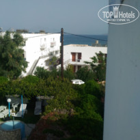 фото из отзыва ID 1648084