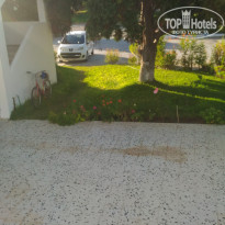 фото из отзыва ID 1648084