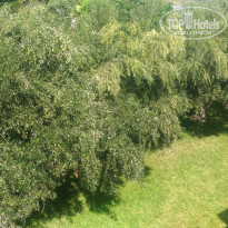 фото из отзыва ID 1648084