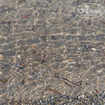 фото из отзыва ID 1648084