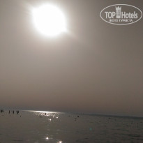 фото из отзыва ID 1648084