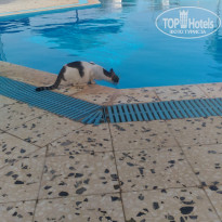 фото из отзыва ID 1648084