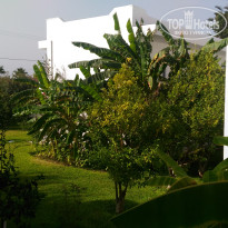 фото из отзыва ID 1648084